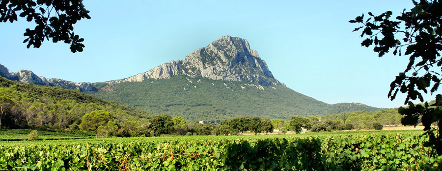 Bergerie du Capucin, le Pic Saint Loup