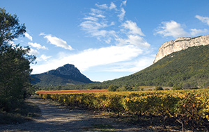 Le pic saint et la falaise de l'Hortus